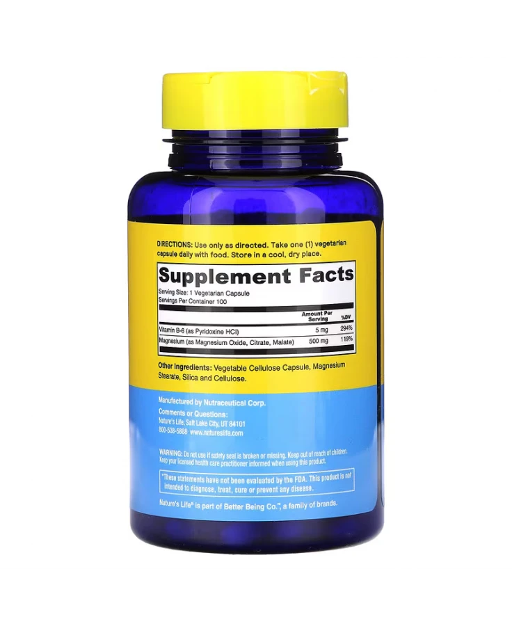 Nature's Life, Renewing Magnesium, 500 mg, 100 Vegcaps